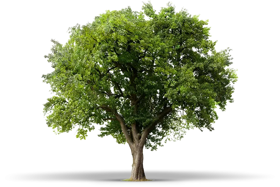 Siempre del lado de la naturaleza